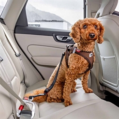 Curli Sikkerhedssele Til Fastgørelse af Hund i Bil V2